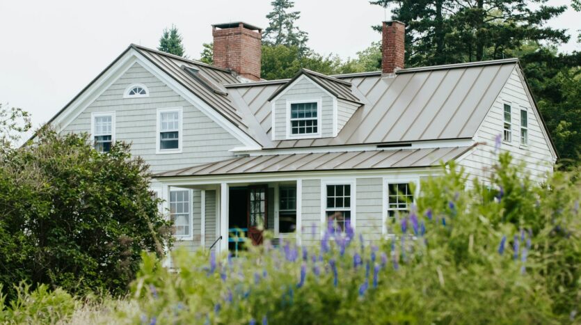 white and gray wooden house surrounded by green plants during daytime